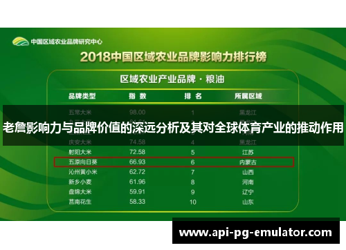 老詹影响力与品牌价值的深远分析及其对全球体育产业的推动作用